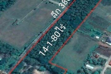 Land for sale in Bua Sali, Chiang Rai