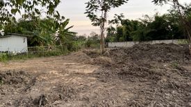 Land for sale in Mae Hia, Chiang Mai