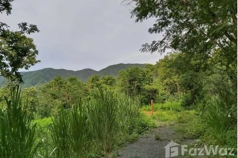 Land for sale in On Klang, Chiang Mai