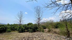 Land for sale in On Klang, Chiang Mai