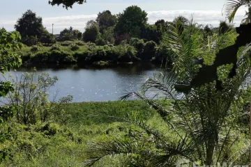 Land for sale in Tha Bo, Nong Khai