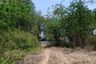 Land for sale in Wang Nam Sap, Suphan Buri