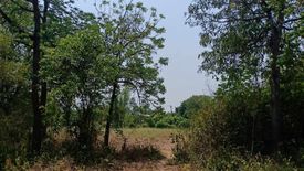 Land for sale in Wang Nam Sap, Suphan Buri