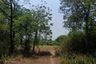 Land for sale in Wang Nam Sap, Suphan Buri