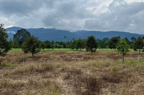 Land for sale in Ang Khiri, Chanthaburi