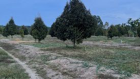 Land for sale in Ang Khiri, Chanthaburi