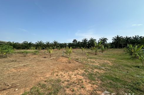 Land for sale in Kalai, Phang Nga