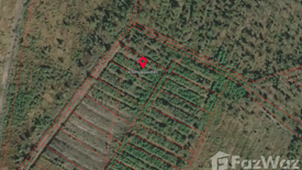 Land for sale in Tha Thonglang, Chachoengsao