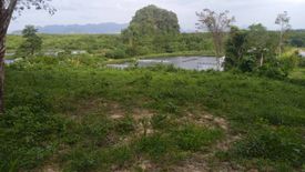 Land for sale in Khao Thong, Krabi