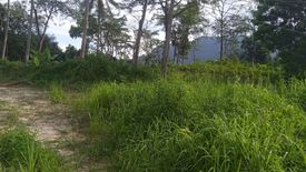 Land for sale in Khao Thong, Krabi