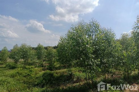 Land for sale in Krok Sombun, Prachin Buri