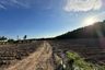 Land for sale in Nikhom Phatthana, Rayong