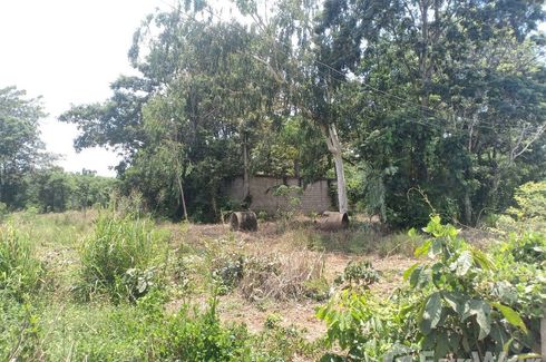 Land for sale in Si Maha Phot, Prachin Buri