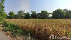 Land for sale in Doem Bang, Suphan Buri