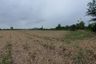 Land for sale in Pak Chong, Ratchaburi