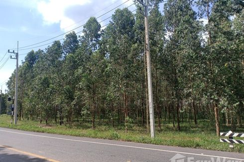 Land for sale in Krok Sombun, Prachin Buri