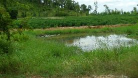 Land for sale in Khok Charoen, Lopburi