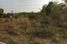 Land for sale in Prachantakham, Prachin Buri