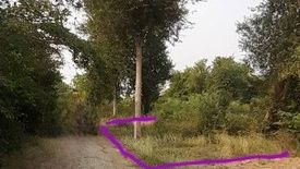 Land for sale in Don Krabueang, Ratchaburi