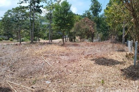 Land for sale in Khlong Thom Nuea, Krabi