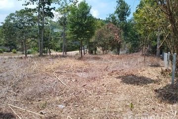 Land for sale in Khlong Thom Nuea, Krabi