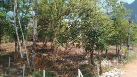 Land for sale in Khlong Thom Nuea, Krabi