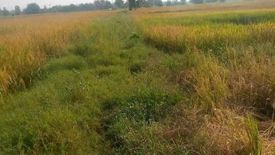 Land for sale in Nong Mueang, Lopburi