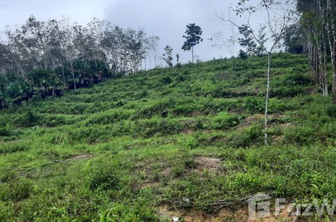 Land for sale in Khlong Kwang, Songkhla