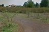 Land for sale in Nong Ki, Buriram