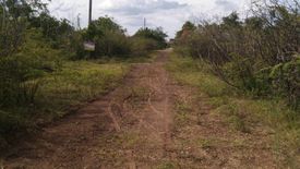 Land for sale in Nong Ki, Buriram