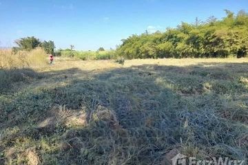 Land for sale in Si Than, Loei