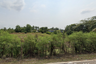 Land for sale in Khok Phra Chedi, Nakhon Pathom