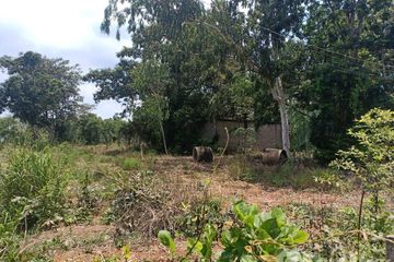 Land for sale in Nong Phrong, Prachin Buri