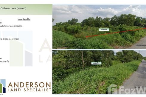 Land for sale in Khlong Yai, Nakhon Nayok