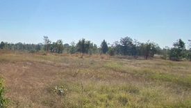 Land for sale in Ban Kho, Khon Kaen