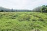 Land for sale in Pho Thong, Nakhon Si Thammarat