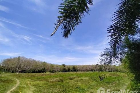 Land for sale in Pho Thong, Nakhon Si Thammarat