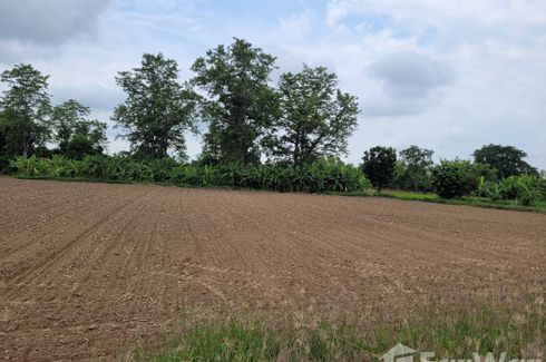 Land for sale in Bo Tham, Kamphaeng Phet