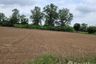 Land for sale in Bo Tham, Kamphaeng Phet
