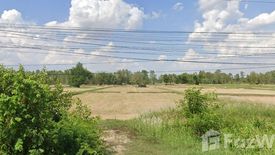 Land for sale in Nong Phai, Udon Thani