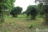 Land for sale in Tha Khlo, Saraburi