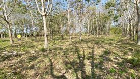 Land for sale in Wiang, Chiang Rai