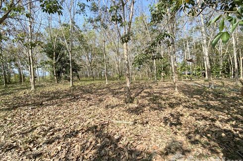 Land for sale in Wiang, Chiang Rai