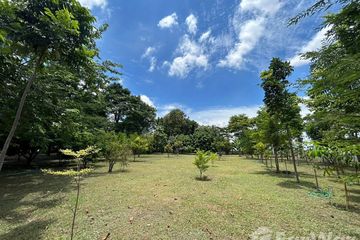 Land for sale in Chong Sarika, Lopburi