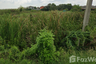 Land for sale in Sam Ruean, Phra Nakhon Si Ayutthaya
