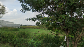 Land for sale in Sam Ruean, Phra Nakhon Si Ayutthaya