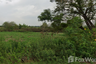 Land for sale in Sam Ruean, Phra Nakhon Si Ayutthaya