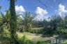 Land for sale in Pa Bon, Phatthalung