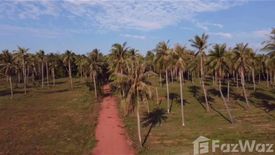 Land for sale in Sai Thong, Prachuap Khiri Khan