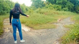 Land for sale in Rai Khing, Nakhon Pathom